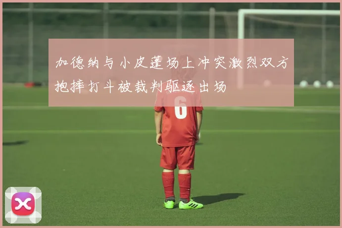 加德纳与小皮蓬场上冲突激烈双方抱摔打斗被裁判驱逐出场